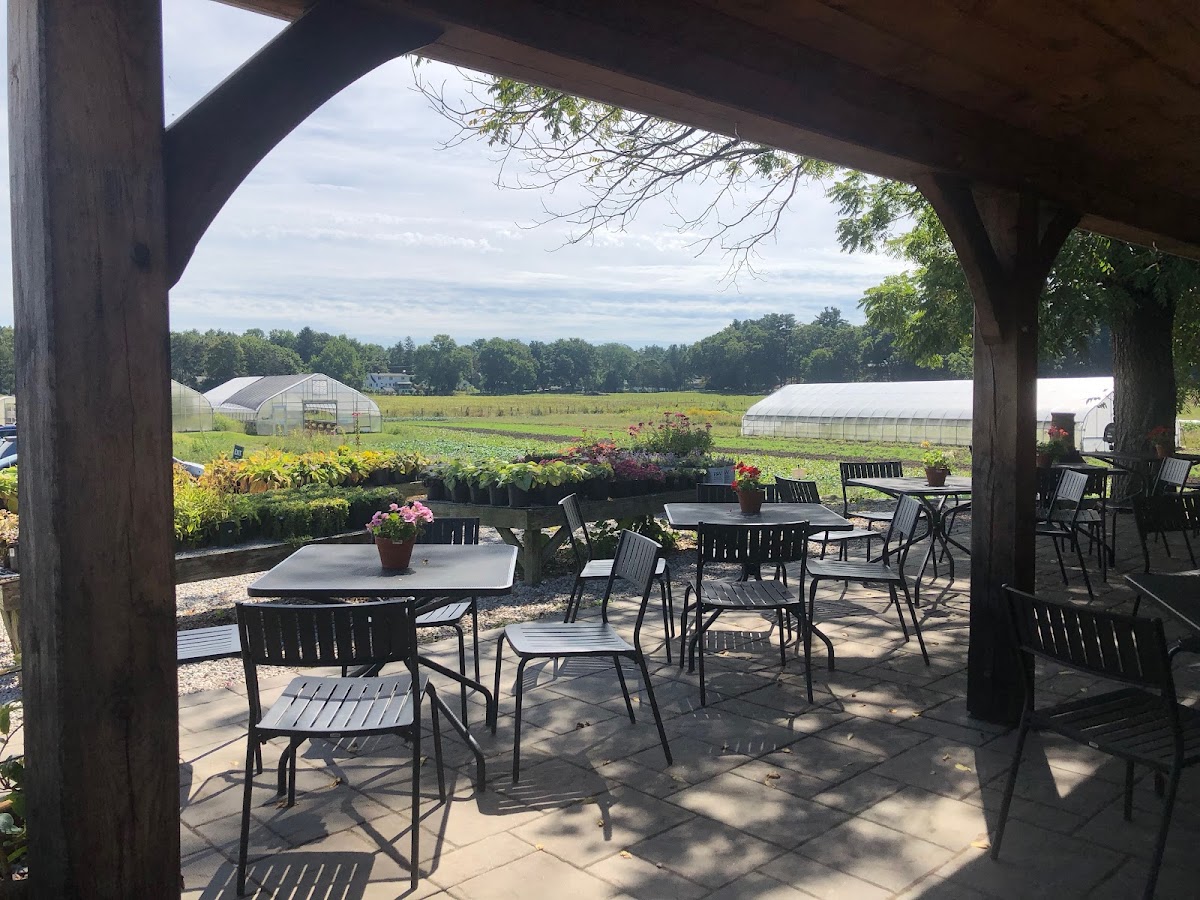 The Farmer's Porch At Tangerini's Farm